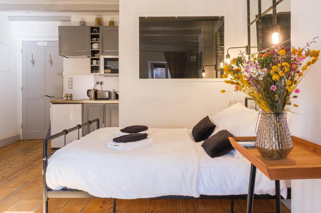 Au Grey D'Annecy, Studio Cosy Au Coeur De La Ville Экстерьер фото
