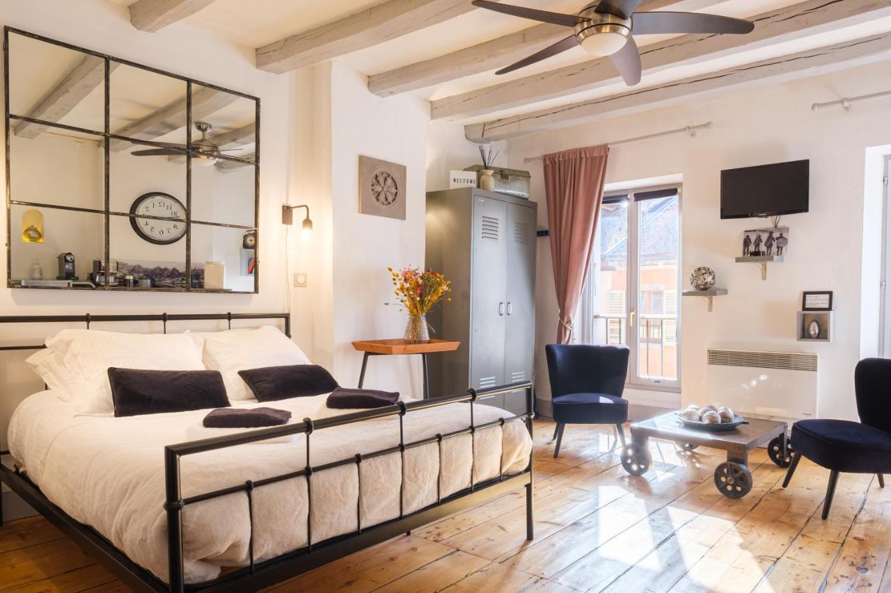 Au Grey D'Annecy, Studio Cosy Au Coeur De La Ville Экстерьер фото