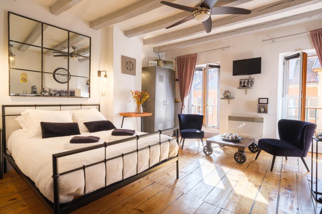Au Grey D'Annecy, Studio Cosy Au Coeur De La Ville Экстерьер фото